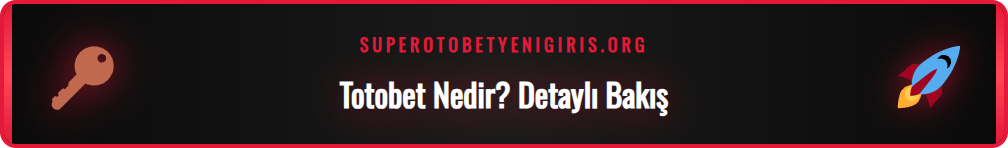 Totobet platformunun temel özellikleri ve çalışma prensipleri hakkında bir infografik.